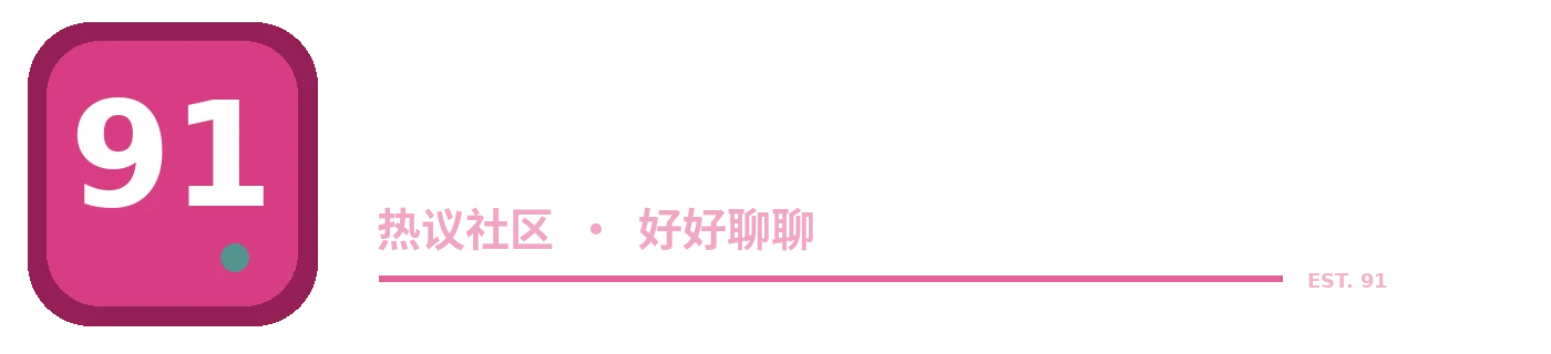 91 次元